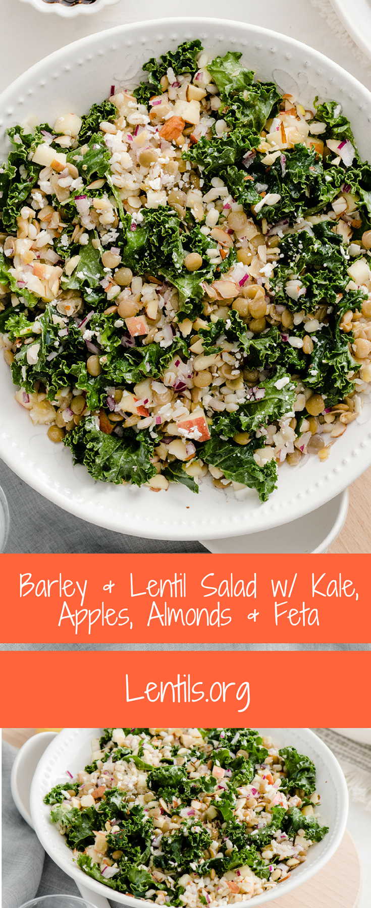 Barley & Lentil Salad with Kale, Apples, Almonds, & Feta