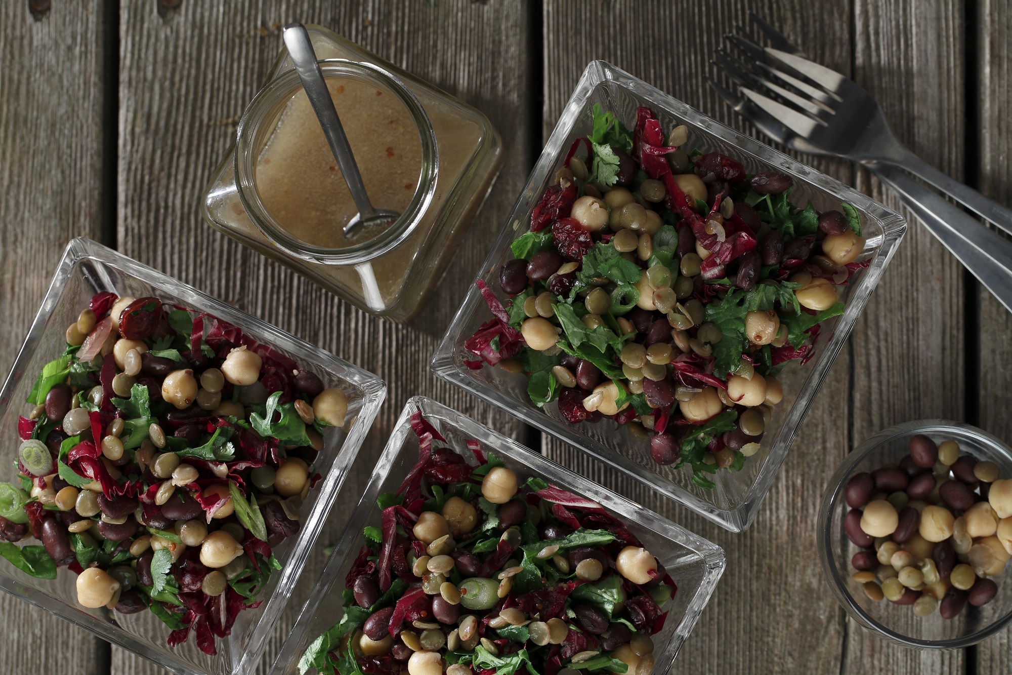 tri-pulse-salad-lentils