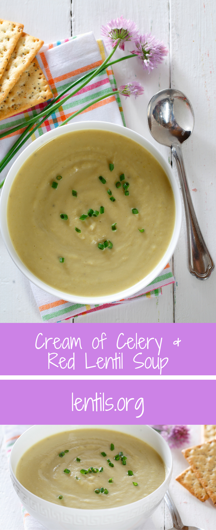 Cream of Celery & Red Lentil Soup – Lentils.org