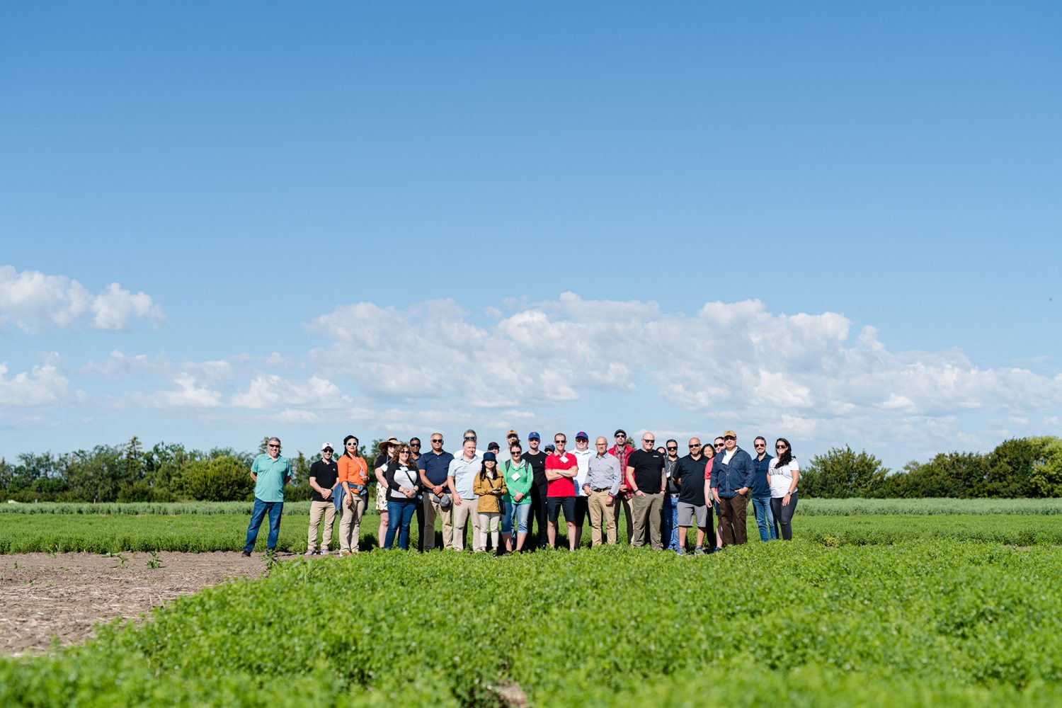 Immersive Farm Tour Experience Demonstrates the Journey of Lentils from ...